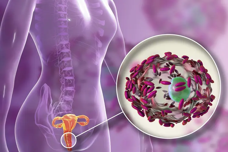 Vulvovaginal Health & Infections